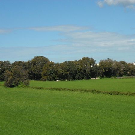 Masseria Gattamora อุจจาโน ลาเคียซา ภายนอก รูปภาพ
