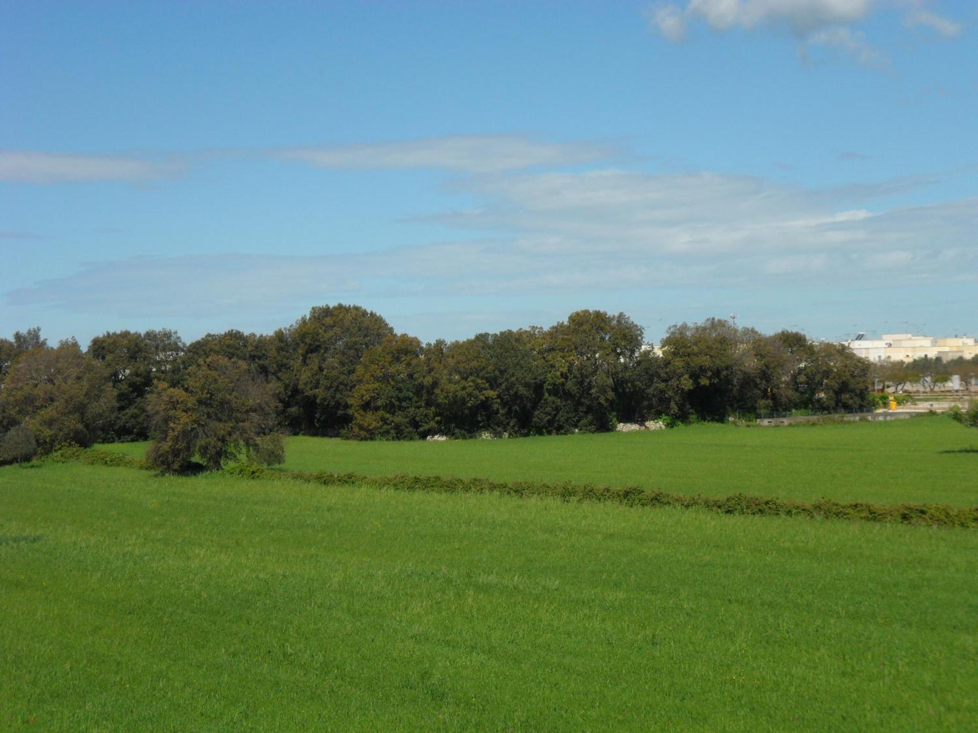 Masseria Gattamora อุจจาโน ลาเคียซา ภายนอก รูปภาพ